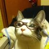coolcat3002