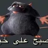 user7488110512782