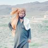 gull.noor33