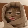 iyaaaaaaaauda8