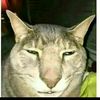 user54530970662602