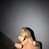 randomguy7354