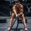 mattslevin_pt