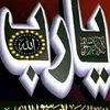 ramzi33445