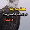 user34127582854105