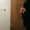 luana_333