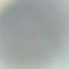 boran.bngll