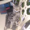 imnotk1moffcll_
