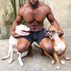 dogo