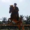zaenal.aripin664
