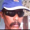 misai331