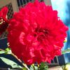 johana.gmez84