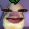 kiranaajaahhhhh