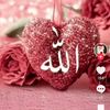 .musahayat07