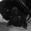 angel_4556578