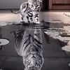 alex_1234.leon