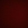 tom_broderick11