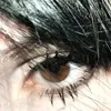 .kikichi