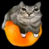 catonorange