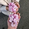 hifsabakescakes