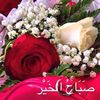 bejawiya601