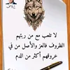 user90932860025743