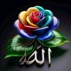 abdulsalaamofficial3