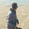 shamekh_jubairi