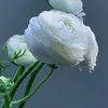 muradalmdar697