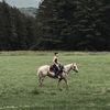 kendalsherfinski_