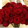 krmz.iek522.gmail