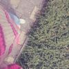 p4ssi0nz