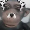 estrupadinho