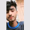wasik_siam2