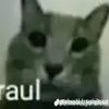 teearpi