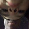 anonymous9774478