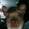 usern4me12344321
