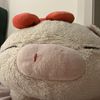 piggy_ray6