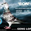 genglofttv