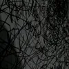 trnthnh5985