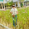hoa.thu324