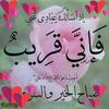 eman.ali781