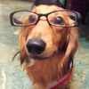 who.knowswathana