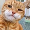 abdullll483