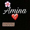 12aminaa6