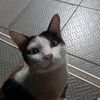user881819306203