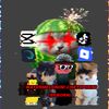 watermeloncat_isback