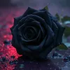 schwarze.blume4