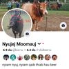 nraughmooblotsua33