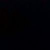 tzy_zl